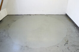 der Blaue Kreis 2023 